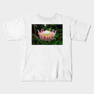 Protea Study 1 Kids T-Shirt